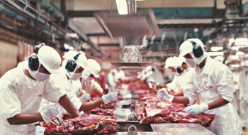 Abates de bovinos e frangos recuam no segundo trimestre do ano